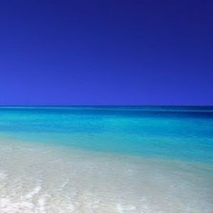 Meet your Posher, Faith